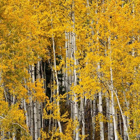 Aspen Springs Angel Fire Aparthotel Exterior foto
